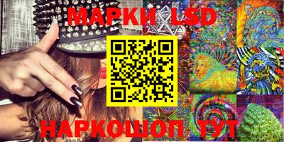 шишки Белореченск