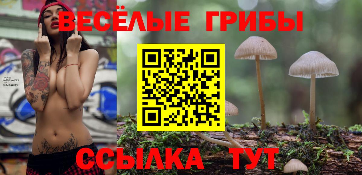 Галлюциногенные грибы MAGIC MUSHROOMS Костомукша