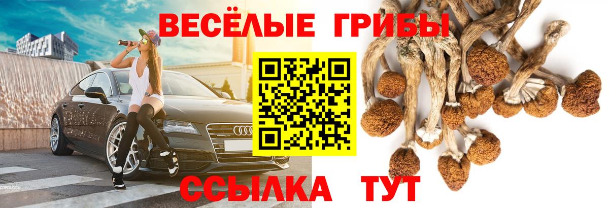 Костомукша  Псилоцибиновые грибы мицелий  Вход с VPN 